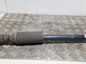 Stoßdämpfer hinten