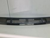 Grille calandre de capot
