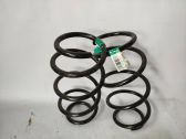 Rear coil spring