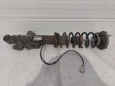 Rear shock absorber with coil spring