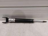 Rear shock absorber/damper