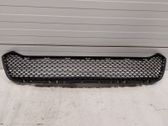 Front bumper upper radiator grill