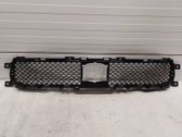 Front bumper lower grill