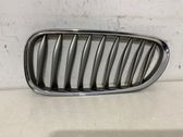 Front bumper upper radiator grill