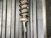 Amortisseur arrière