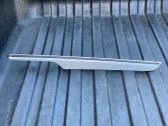 Other rear door trim element