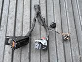Other wiring loom