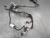 Rear door wiring loom