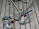 Parking sensor (PDC) wiring loom
