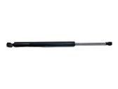 Tailgate/trunk strut/damper