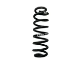 Rear coil spring