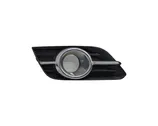 Front fog light trim/grill