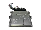 Calculateur moteur ECU