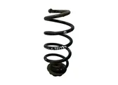 Rear coil spring