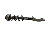 Front shock absorber with coil spring