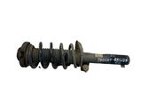 Front shock absorber with coil spring