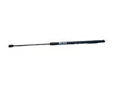 Tailgate/trunk strut/damper