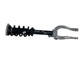 Front shock absorber with coil spring