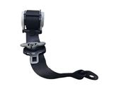 Rear seatbelt