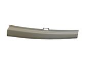 (D) pillar trim (bottom)