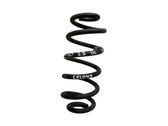 Rear coil spring