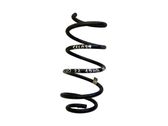Front coil spring