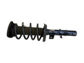 Front shock absorber with coil spring