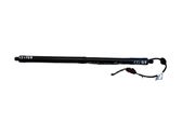 Tailgate/trunk strut/damper