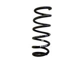 Rear coil spring