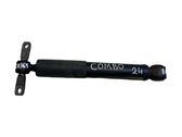 Rear shock absorber/damper