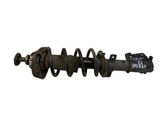 Front shock absorber with coil spring