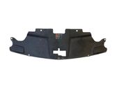 Engine bonnet/hood lock trim molding