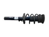 Front shock absorber with coil spring