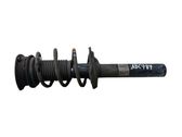 Front shock absorber with coil spring