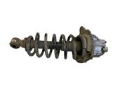 Rear shock absorber with coil spring