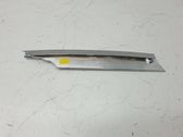 Front fog light trim/grill