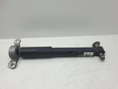 Rear shock absorber/damper