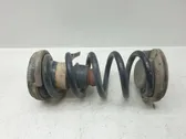 Rear coil spring