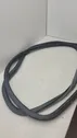 Rear door rubber seal (on body)