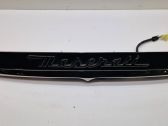 Trunk door license plate light bar