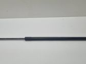 Tailgate/trunk strut/damper