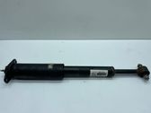 Rear shock absorber/damper