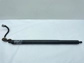 Tailgate/trunk strut/damper
