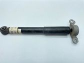 Rear shock absorber/damper