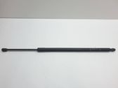 Tailgate/trunk strut/damper