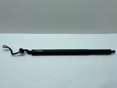 Tailgate/trunk strut/damper