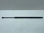 Tailgate/trunk strut/damper