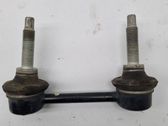 Koppelstange Stabilisator hinten