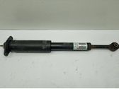 Rear shock absorber/damper