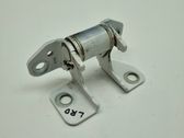 Rear door lower hinge